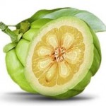 La Garcinia cambogia